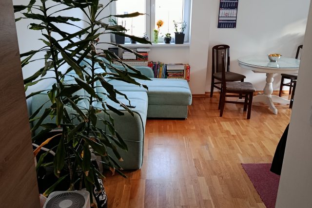 STAN – 83 m2 Sinđelićeva